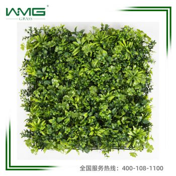 WMG001綠植產品